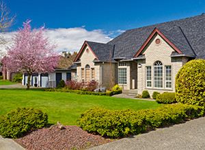 house with a nicely landscaped yard